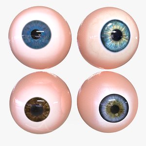 Human Eyeball Collection