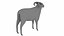 Ram