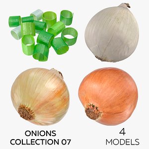 Onions Collection 07 - 4 models 3D model