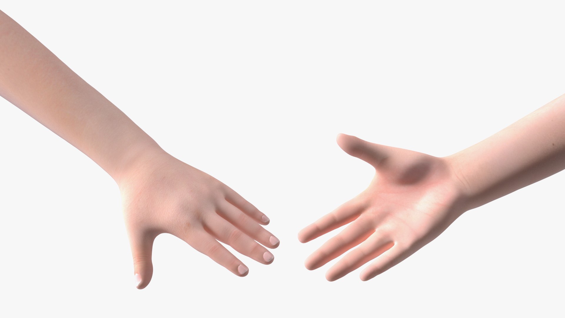 3D Rigged Asian Child Boys Collection https://p.turbosquid.com/ts-thumb/qt/uemJni/NL/riggedasianchildboyscollection3dmodel044/jpg/1671145135/1920x1080/fit_q87/f3edad3790f3cf70f377b0a3e82090b8ff7025a9/riggedasianchildboyscollection3dmodel044.jpg