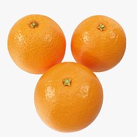 Oranges 04-06 Hi Poly