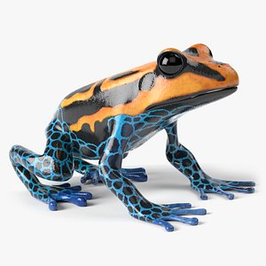 3D Poison Dart Frog