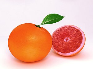 3D grapefruit fruit