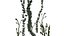 Herbe d'étang - 02 -