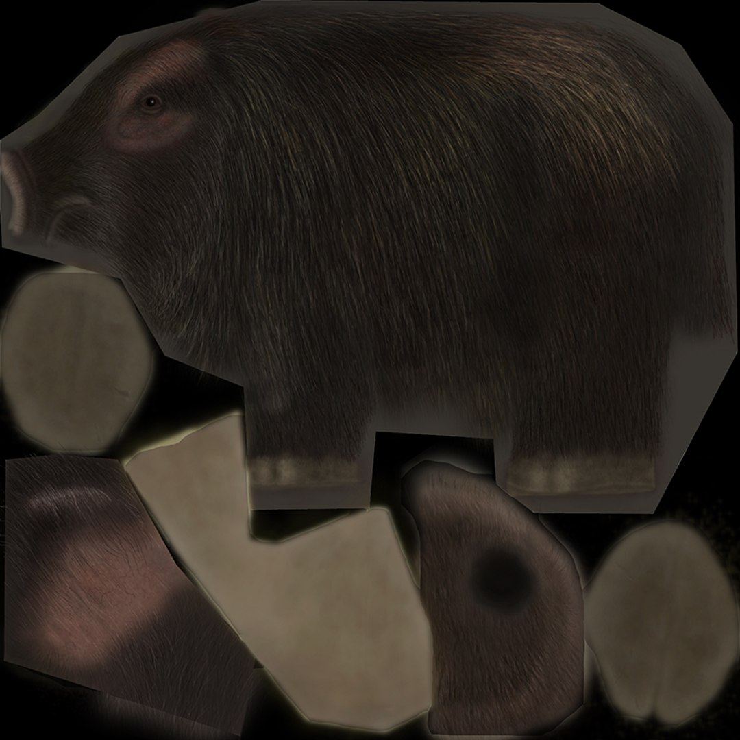 3d boar animal lightwave https://p.turbosquid.com/ts-thumb/qu/LUYSfk/5k1YSsnt/boar/jpg/1311518731/1920x1080/fit_q87/f5de47bbbdbc15556a25143b655ef8686f872f92/boar.jpg