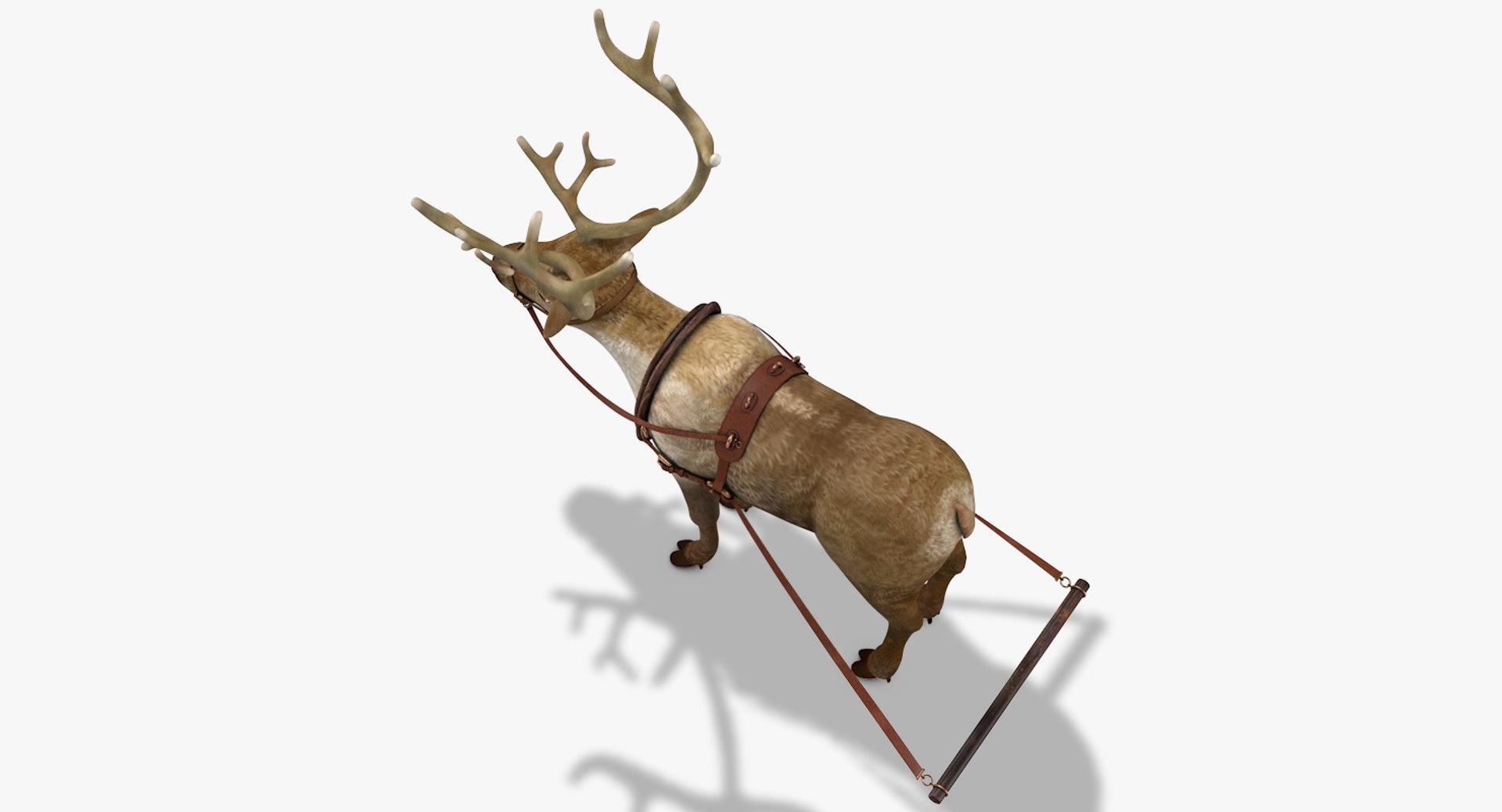 3D reindeer deer https://p.turbosquid.com/ts-thumb/qu/Q7BiHB/5S20Jrs9/reindeer_04/jpg/1544038797/1920x1080/fit_q87/79c3e505088ca0ab640b2cde2f02201dd5f82d06/reindeer_04.jpg