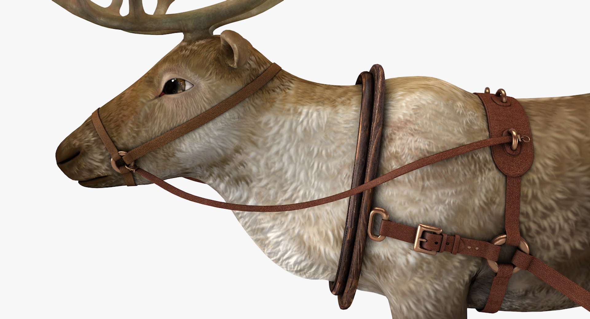 3D reindeer deer https://p.turbosquid.com/ts-thumb/qu/Q7BiHB/7vmoPxzS/reindeer_14/jpg/1544038797/1920x1080/fit_q87/f4a6ba1add5cc8c240941c45a21b26dd27ca45f2/reindeer_14.jpg