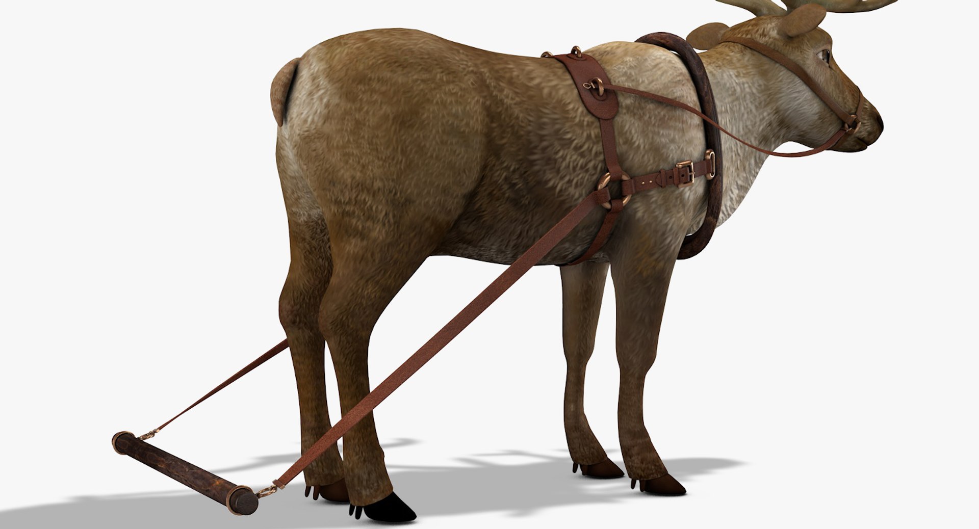 3D reindeer deer https://p.turbosquid.com/ts-thumb/qu/Q7BiHB/8nkXFsTx/reindeer_11/jpg/1544038797/1920x1080/fit_q87/72e1d78b008a3bee8b433c66db2acacbfebcefa6/reindeer_11.jpg