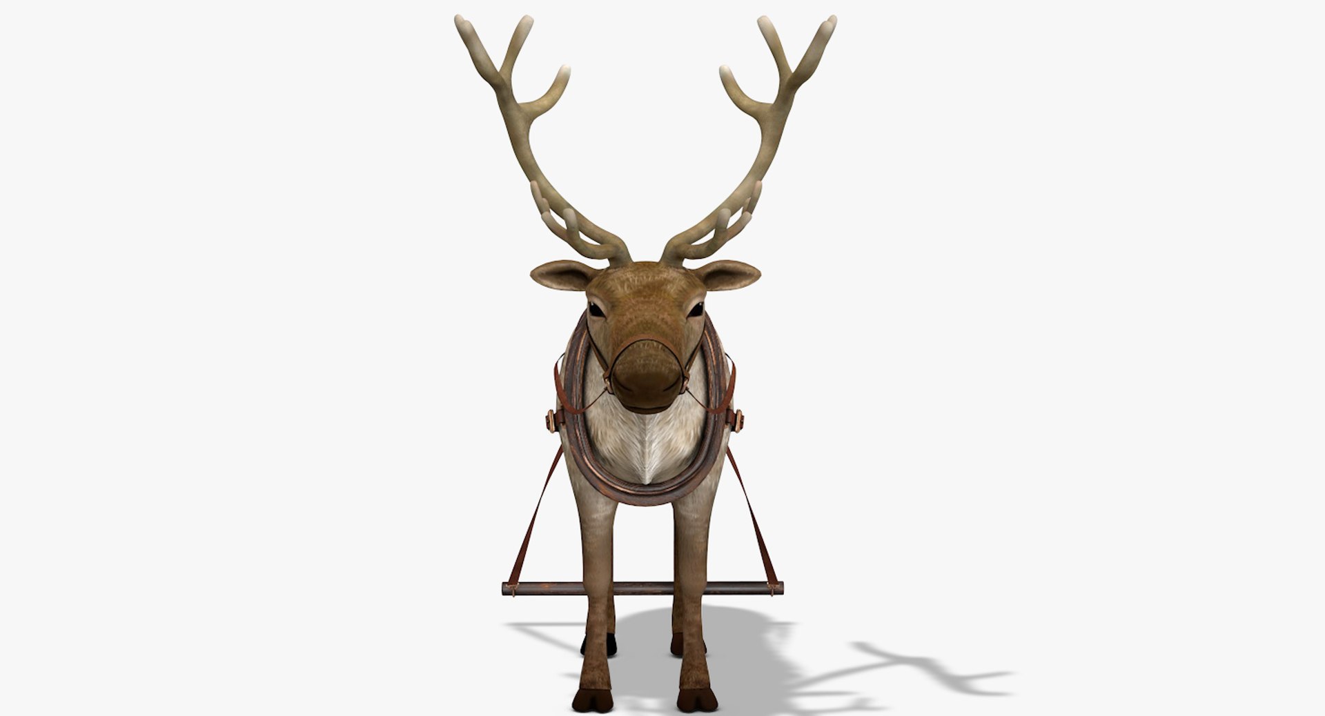3D reindeer deer https://p.turbosquid.com/ts-thumb/qu/Q7BiHB/HTUDtyNl/reindeer_02/jpg/1544038797/1920x1080/fit_q87/43fd2802ef29660f7e462494cc867e618ec70469/reindeer_02.jpg