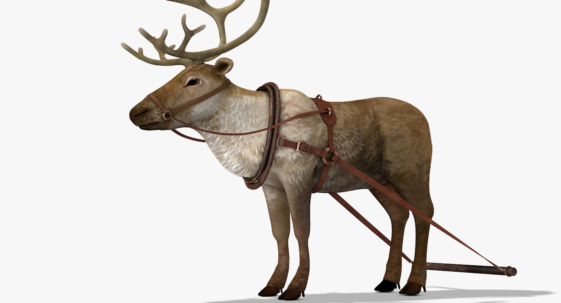 3D reindeer deer https://p.turbosquid.com/ts-thumb/qu/Q7BiHB/IGJ8lB9z/reindeer_08/jpg/1544038797/1920x1080/fit_q87/690e08b01ad2c7afb438939dd98d22d5d7266db1/reindeer_08.jpg