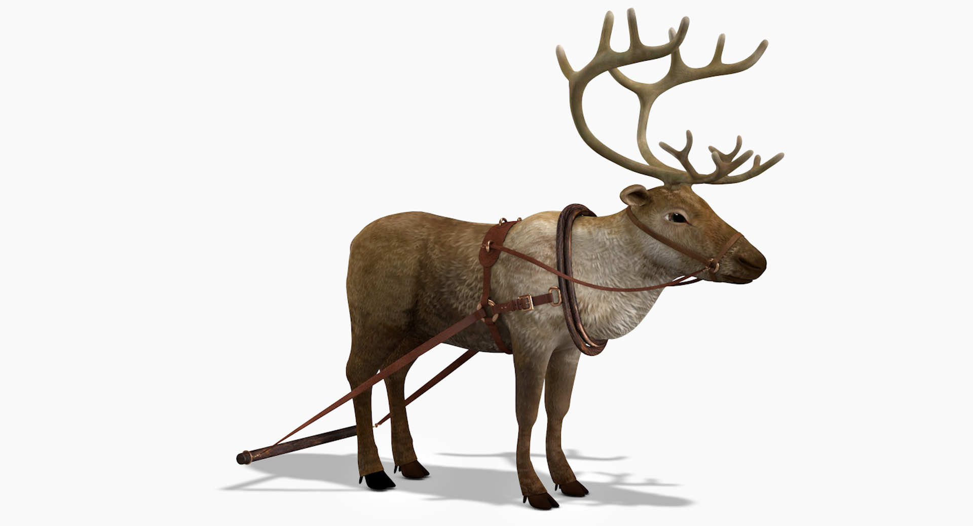 3D reindeer deer https://p.turbosquid.com/ts-thumb/qu/Q7BiHB/IQI0Ztm7/reindeer360/jpg/1544038602/1920x1080/turn_fit_q99/8f35002d884981020c6871141b739e266c1acf57/reindeer360-1.jpg