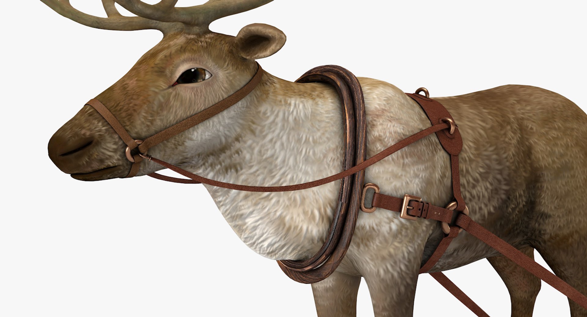 3D reindeer deer https://p.turbosquid.com/ts-thumb/qu/Q7BiHB/KZ1o9MM9/reindeer_12/jpg/1544038797/1920x1080/fit_q87/6298fadae01ccc41759a8e32b33713b86e024313/reindeer_12.jpg