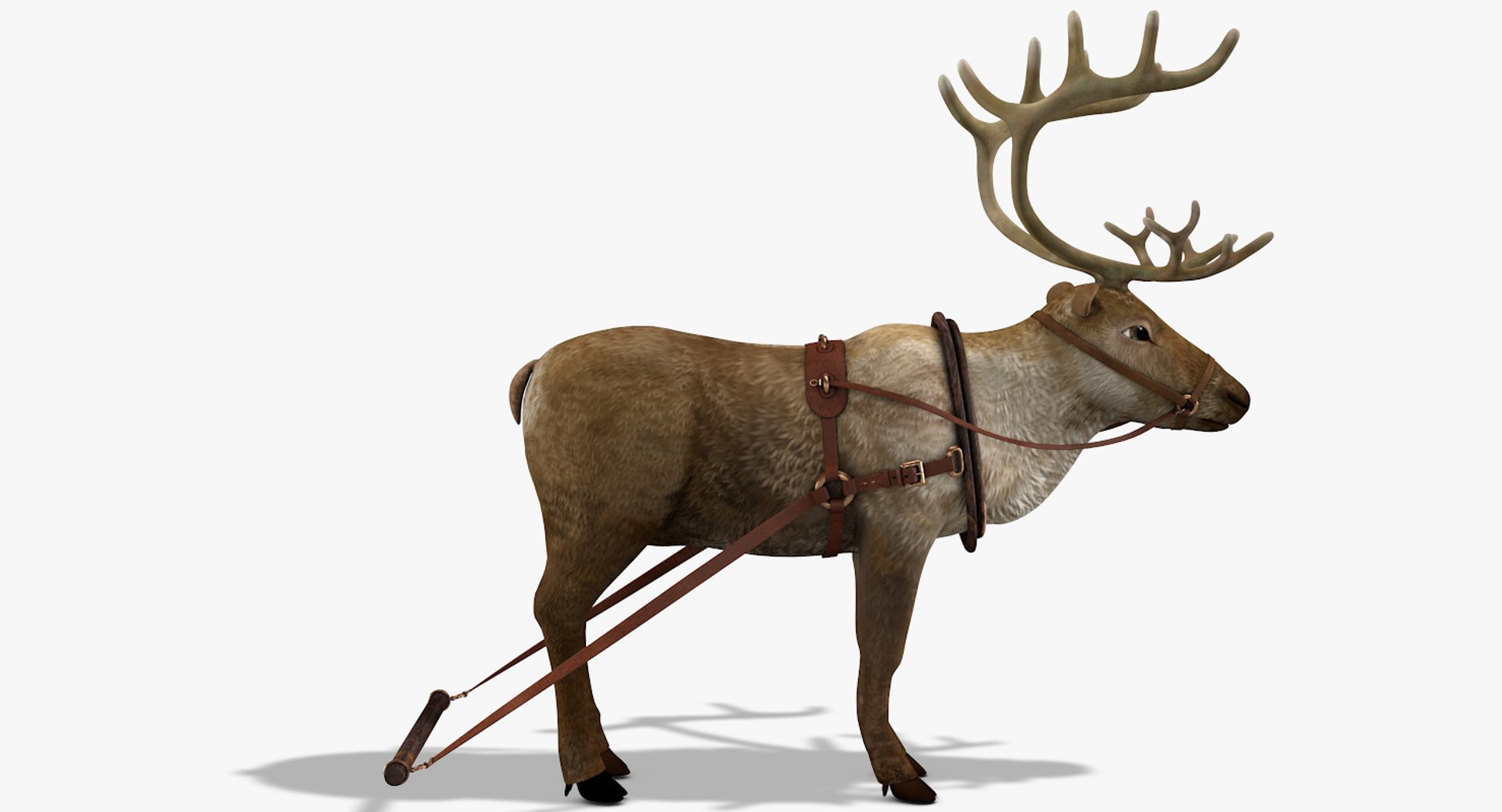 3D reindeer deer https://p.turbosquid.com/ts-thumb/qu/Q7BiHB/L74tiey4/reindeer_00/jpg/1544038797/1920x1080/fit_q87/1a942f3524a8ccb84086906a84bc030f0a3bc66e/reindeer_00.jpg