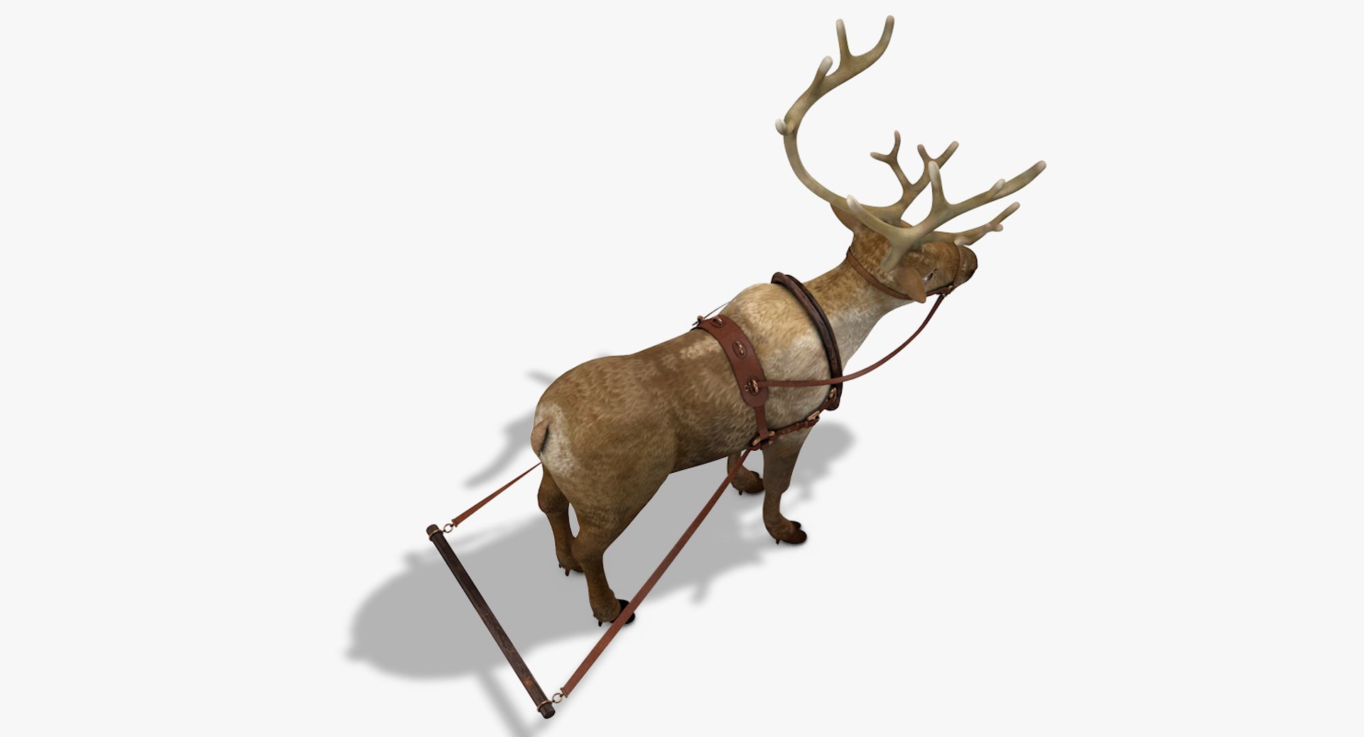 3D reindeer deer https://p.turbosquid.com/ts-thumb/qu/Q7BiHB/OMnY8jF5/reindeer_05/jpg/1544038797/1920x1080/fit_q87/67d769417882c27a94c06f41a4ac94391b5002ff/reindeer_05.jpg