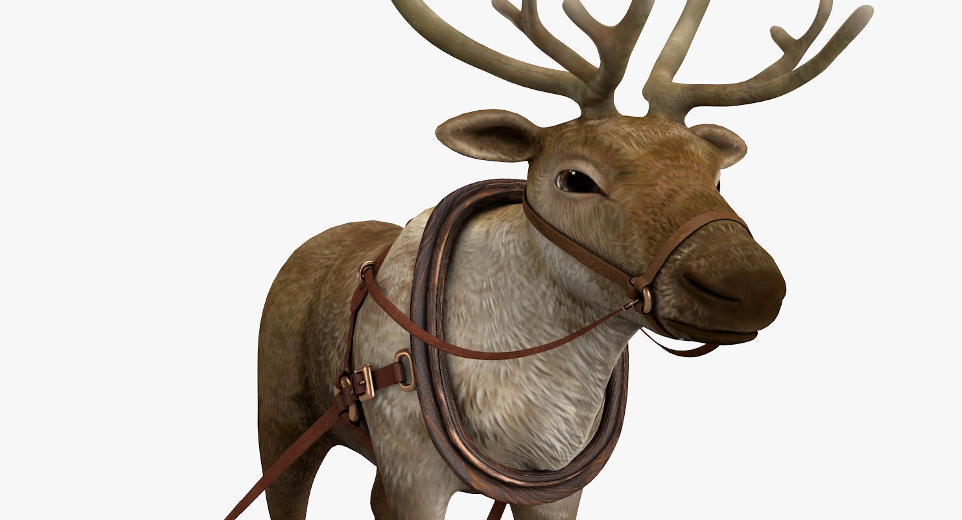 3D reindeer deer https://p.turbosquid.com/ts-thumb/qu/Q7BiHB/OO57zXKS/reindeer_13/jpg/1544038797/1920x1080/fit_q87/349cbbcda4de9e51c95fc4b7811520dd01cea107/reindeer_13.jpg