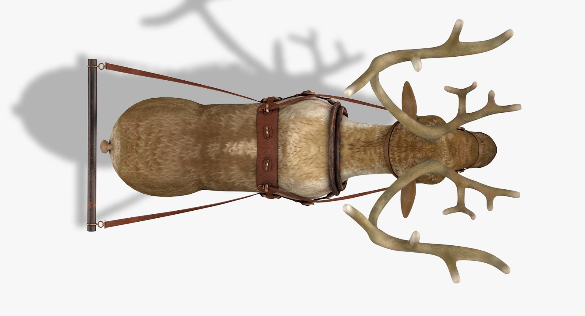 3D reindeer deer https://p.turbosquid.com/ts-thumb/qu/Q7BiHB/S81OCJHL/reindeer_06/jpg/1544038797/1920x1080/fit_q87/c9b455f22e58954cf232a3d03595de667d124f47/reindeer_06.jpg