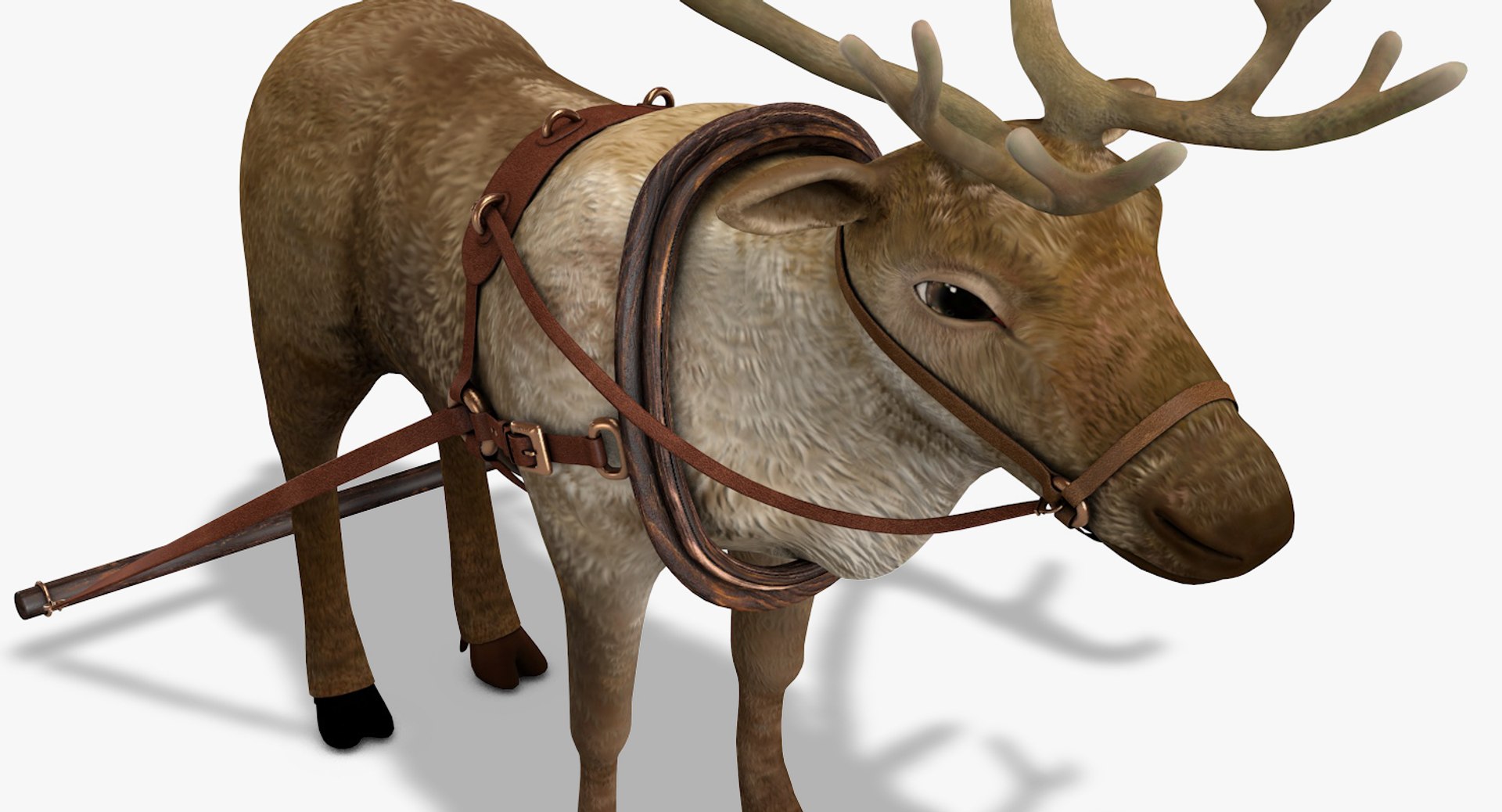 3D reindeer deer https://p.turbosquid.com/ts-thumb/qu/Q7BiHB/h3M72nUo/reindeer_17/jpg/1544038797/1920x1080/fit_q87/75c99a969bf6ad7c55d173f5aeb6ee3bffc13e12/reindeer_17.jpg