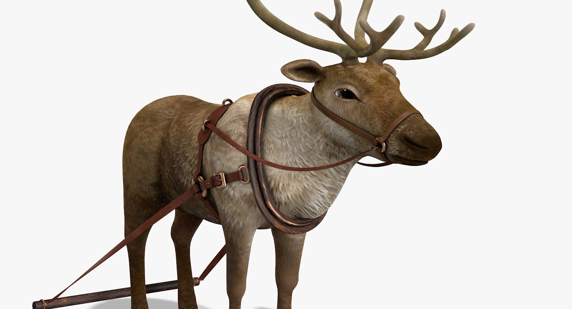 3D reindeer deer https://p.turbosquid.com/ts-thumb/qu/Q7BiHB/nfC3oH4j/reindeer_10/jpg/1544038797/1920x1080/fit_q87/2004478322fdea6e2768334b458fb5b35ede6047/reindeer_10.jpg