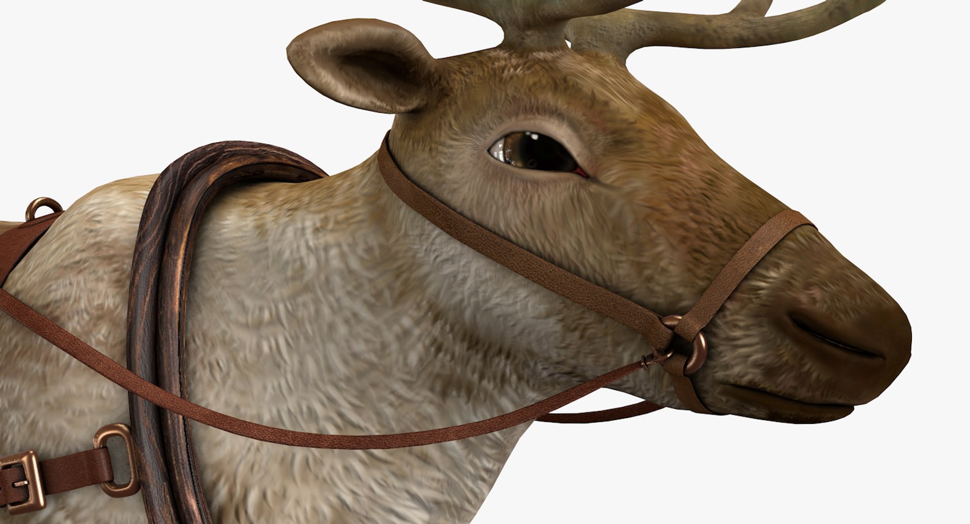 3D reindeer deer https://p.turbosquid.com/ts-thumb/qu/Q7BiHB/o6TsCrEZ/reindeer_18/jpg/1544038797/1920x1080/fit_q87/389e8d820a74a3a4b2c9943e9d214ff85eb3510f/reindeer_18.jpg
