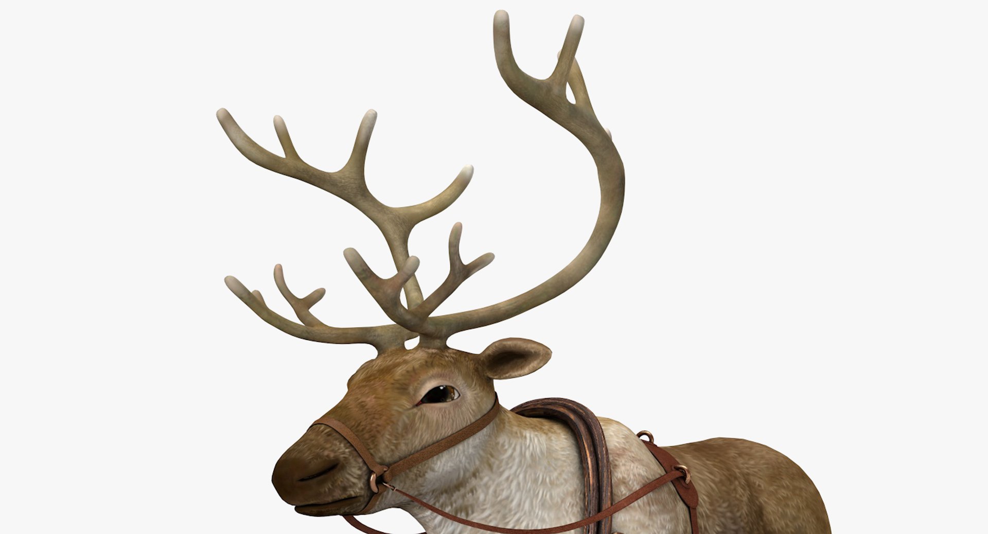 3D reindeer deer https://p.turbosquid.com/ts-thumb/qu/Q7BiHB/pHc5uRWA/reindeer_16/jpg/1544038797/1920x1080/fit_q87/1c6cb0cb956ea1cbb701e1eacea72991427b495f/reindeer_16.jpg