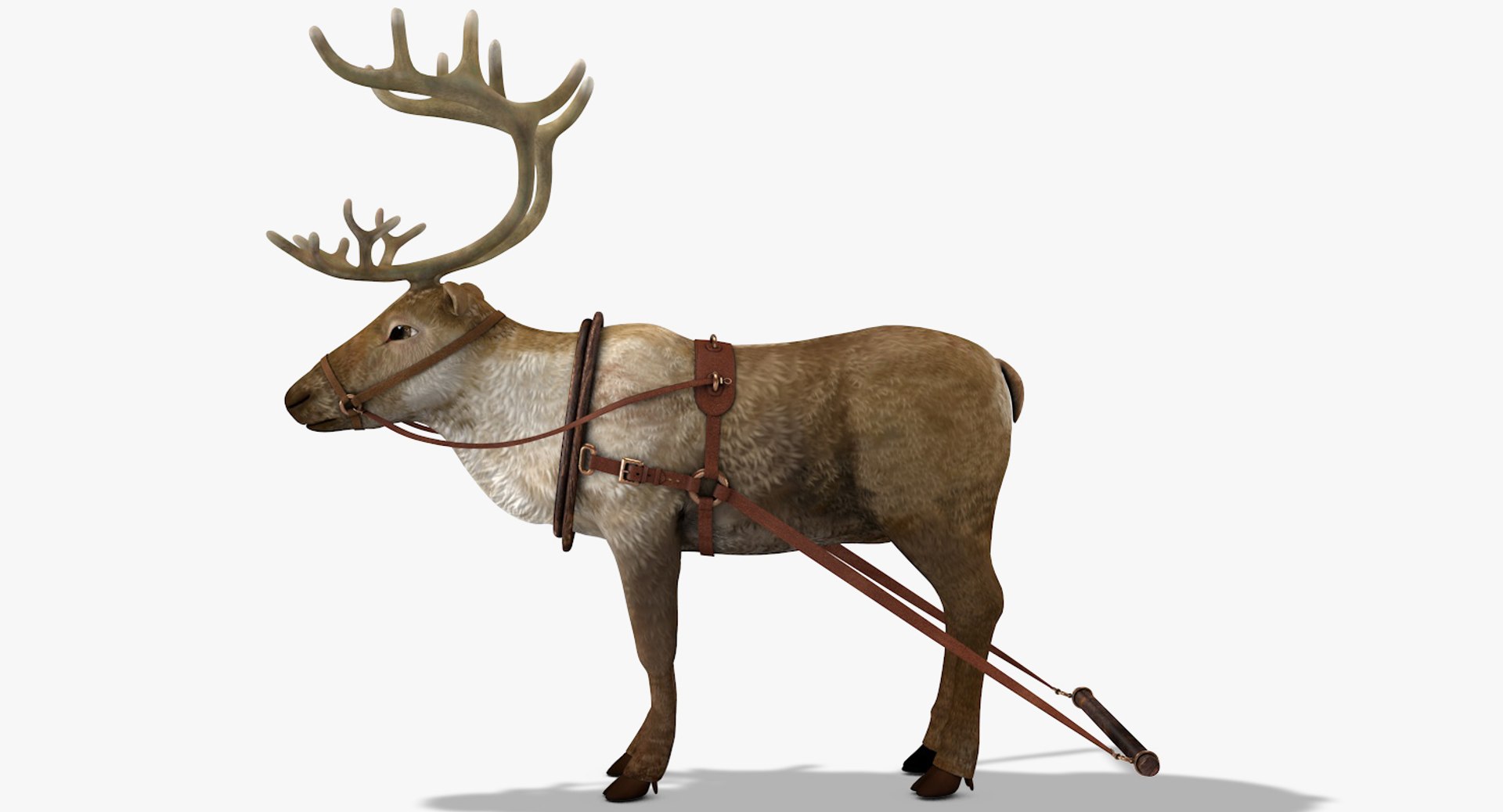 3D reindeer deer https://p.turbosquid.com/ts-thumb/qu/Q7BiHB/puAtadLg/reindeer_01/jpg/1544038797/1920x1080/fit_q87/6cda608a1fa816b9be907f45661bdd0f334923d4/reindeer_01.jpg