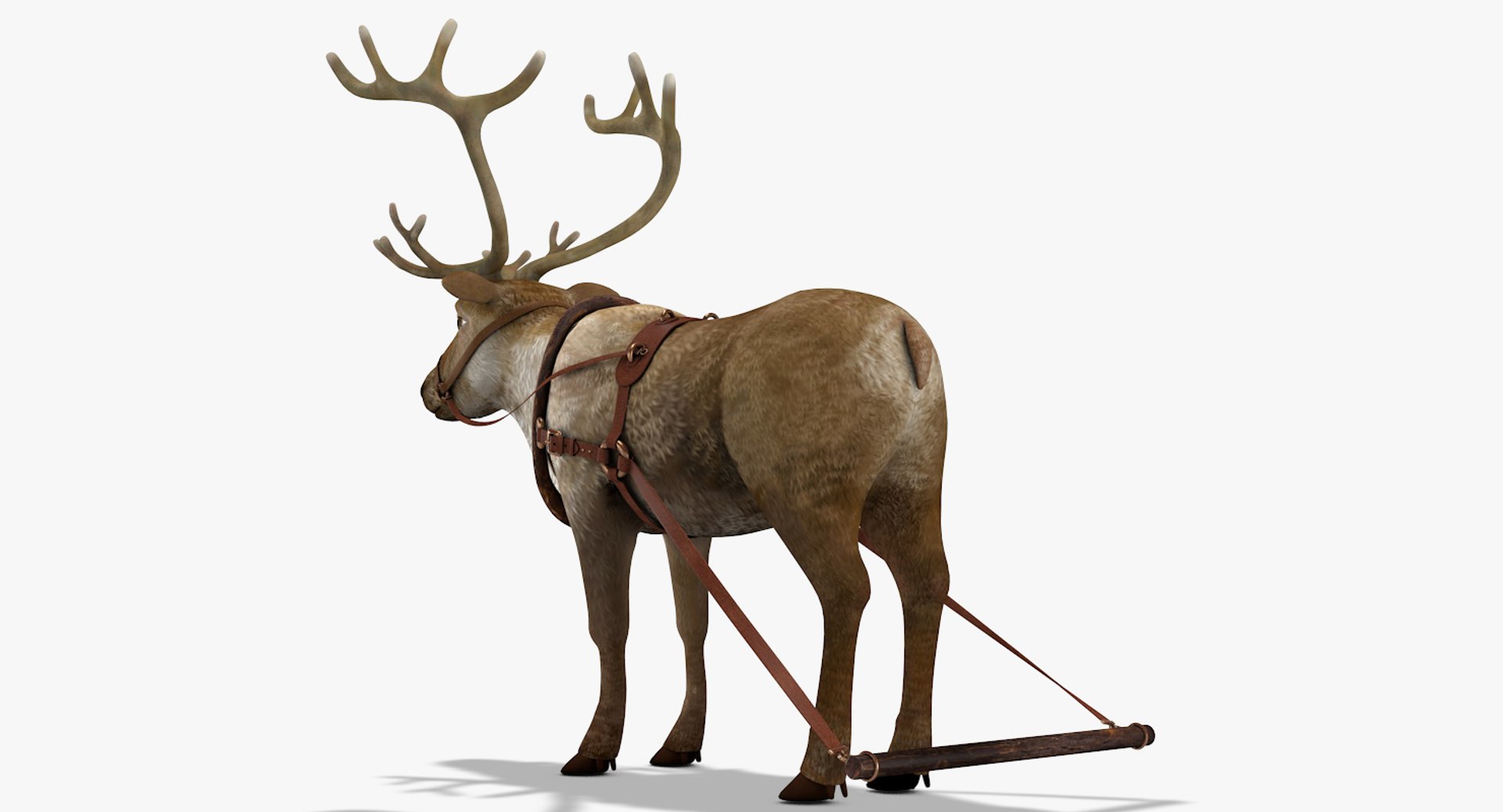 3D reindeer deer https://p.turbosquid.com/ts-thumb/qu/Q7BiHB/rBymOxFn/reindeer_09/jpg/1544038797/1920x1080/fit_q87/afd4bd42a96619daabb4883b56c8b05569b970be/reindeer_09.jpg