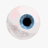 Eyeball