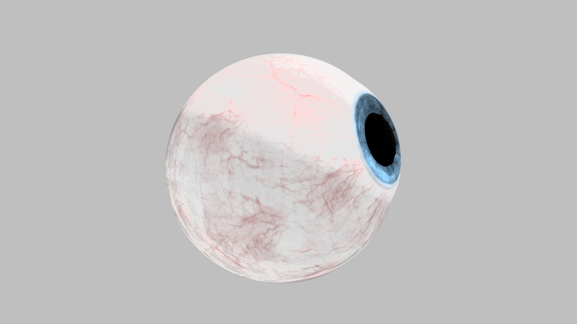 3D Eyeball model https://p.turbosquid.com/ts-thumb/qu/Vb49IB/bQ/eyeball_04/jpg/1626131548/1920x1080/fit_q87/adba1fa37d7da6a565b851bb351bd1d62a9855e0/eyeball_04.jpg
