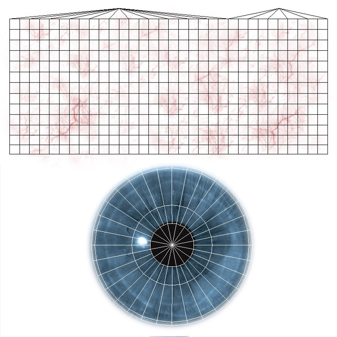 3D Eyeball model https://p.turbosquid.com/ts-thumb/qu/Vb49IB/oK/uvwmap/jpg/1626132934/1920x1080/fit_q87/0cc5cb9e0d307e608ea5b7e5c11d11574d37d2f4/uvwmap.jpg