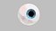 Eyeball