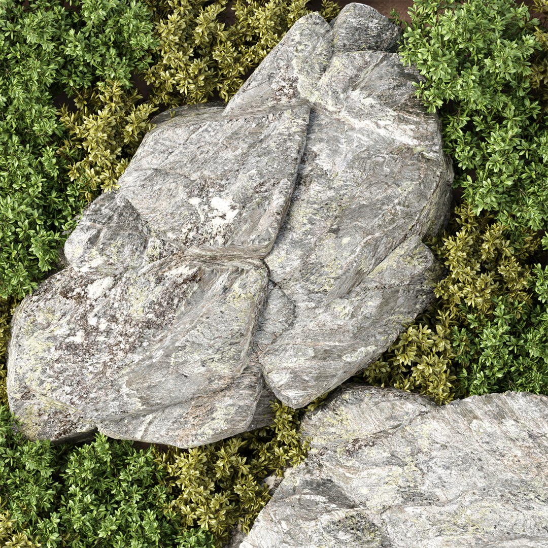 3D Vertical Rock Garden vol 138 https://p.turbosquid.com/ts-thumb/qu/aPkBfQ/4f/4/jpg/1667834438/1920x1080/fit_q87/70fff0d56dd8898676949e7cc521fe6b3c4ce347/4.jpg