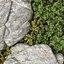 Vertical Rock Garden vol 138-3dmodel