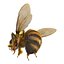 Bee Pose 3