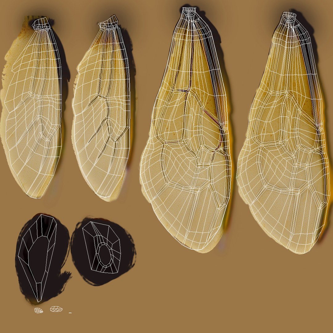 bee pose 3 3d max https://p.turbosquid.com/ts-thumb/qu/iDg9Sg/NKHRUNYC/beevray3dmodel31/jpg/1455093570/1920x1080/fit_q87/20a7b799e779dfef7679181f23063ab90025aae6/beevray3dmodel31.jpg