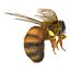 Bee Pose 3