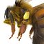 Bee Pose 3