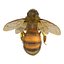 Bee Pose 3
