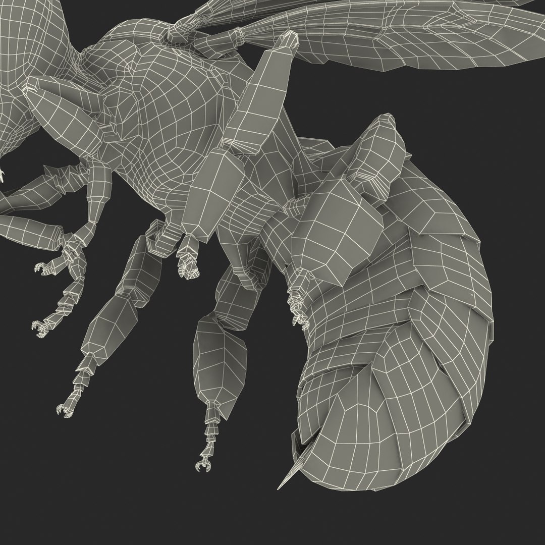 bee pose 3 3d max https://p.turbosquid.com/ts-thumb/qu/iDg9Sg/rlcGTHbE/beevray3dmodel40/jpg/1455093571/1920x1080/fit_q87/9fa970ab5fb4f996e9b64b05c1e9d018c2bb11d1/beevray3dmodel40.jpg