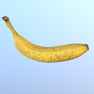 02 banana fruit 3 3D model