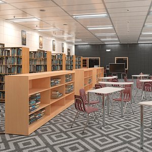 Large School Library