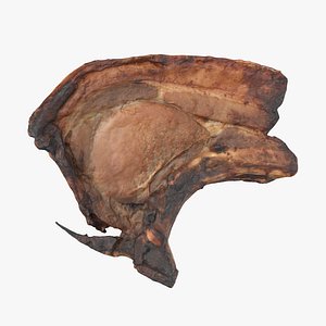 Cooked Pork Chop