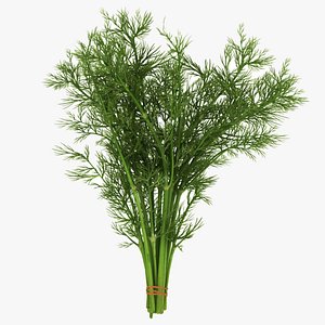 Dill Bunch model