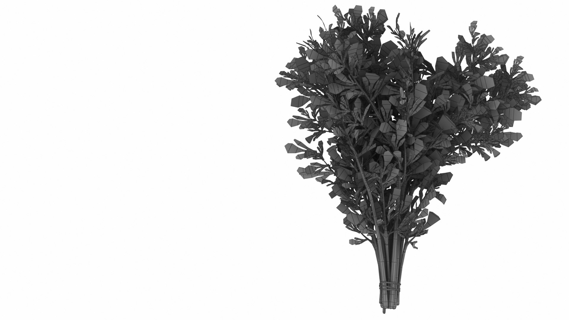 Dill Bunch model https://p.turbosquid.com/ts-thumb/qv/RGy61w/hP/dillbunch7/jpg/1768630131/1920x1080/fit_q87/b6356d4caa373889a7084c51ed664953b7f72340/dillbunch7.jpg