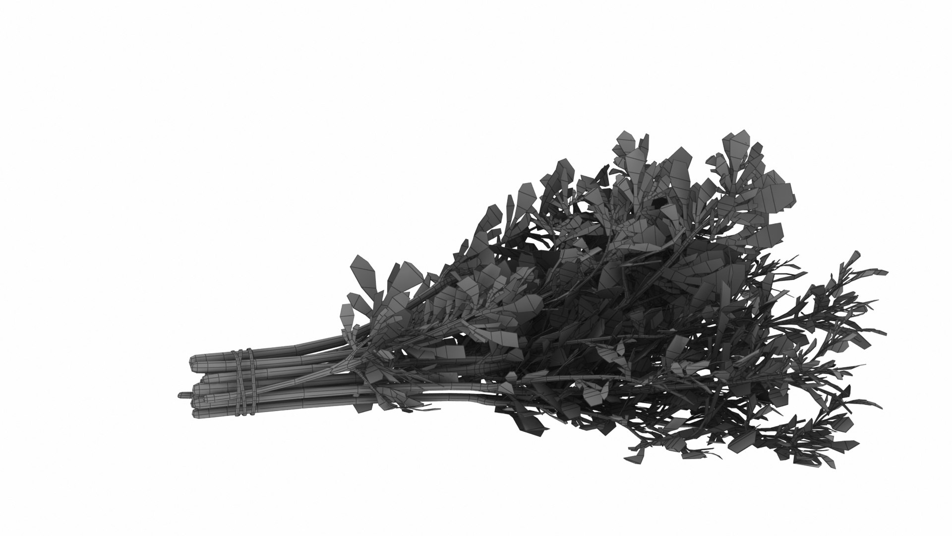 Dill Bunch model https://p.turbosquid.com/ts-thumb/qv/RGy61w/sW/dillbunch8/jpg/1768630131/1920x1080/fit_q87/4bc6592f63a7d95d1afd45cbe87c75694fac1d51/dillbunch8.jpg