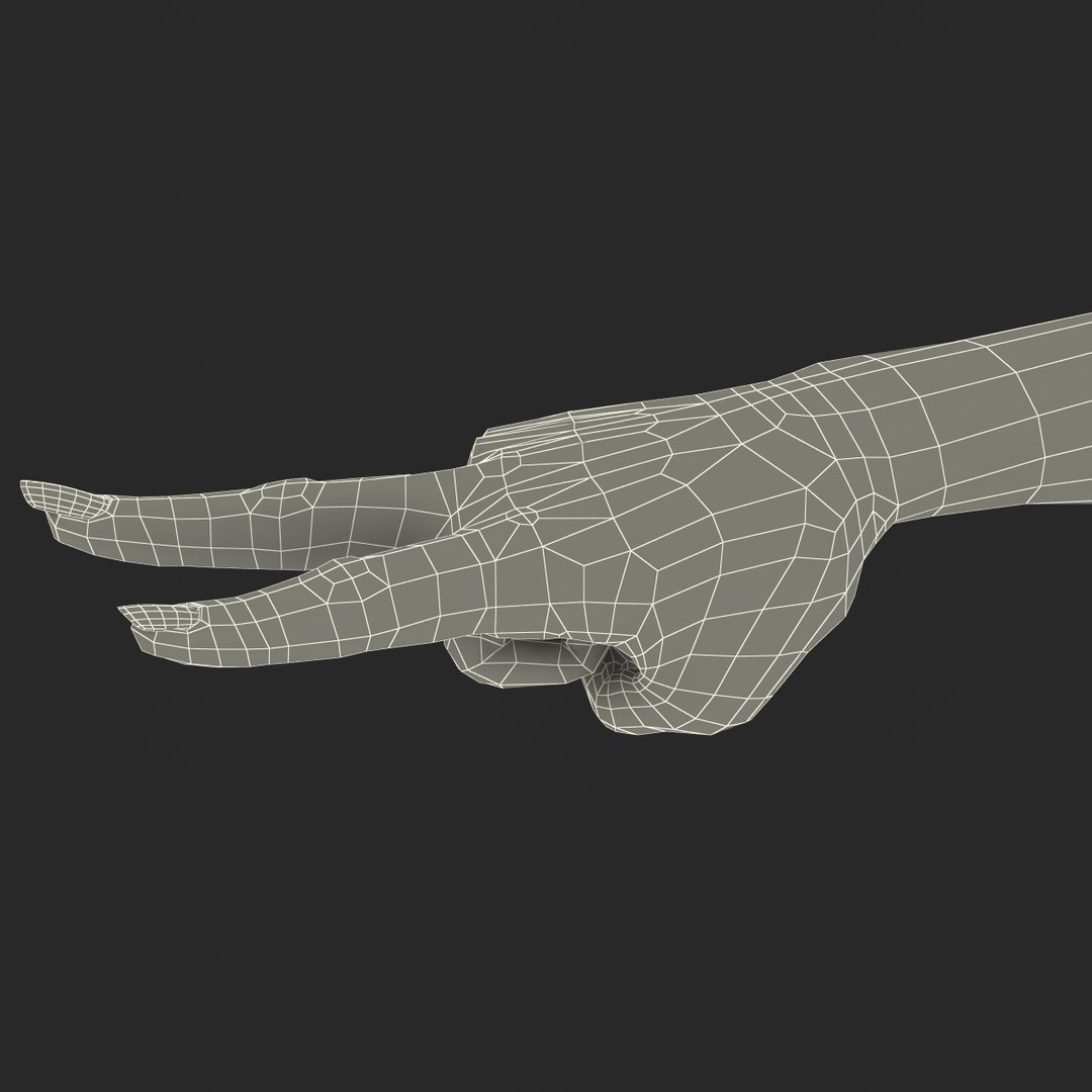 female hand african american obj https://p.turbosquid.com/ts-thumb/qv/ZIsB0U/4WEz9g0n/femalehandafricanamericanfbx3dmodel26/jpg/1469817864/1920x1080/fit_q87/9233623a8f048dc2a954ad3b1875e3f2970758df/femalehandafricanamericanfbx3dmodel26.jpg