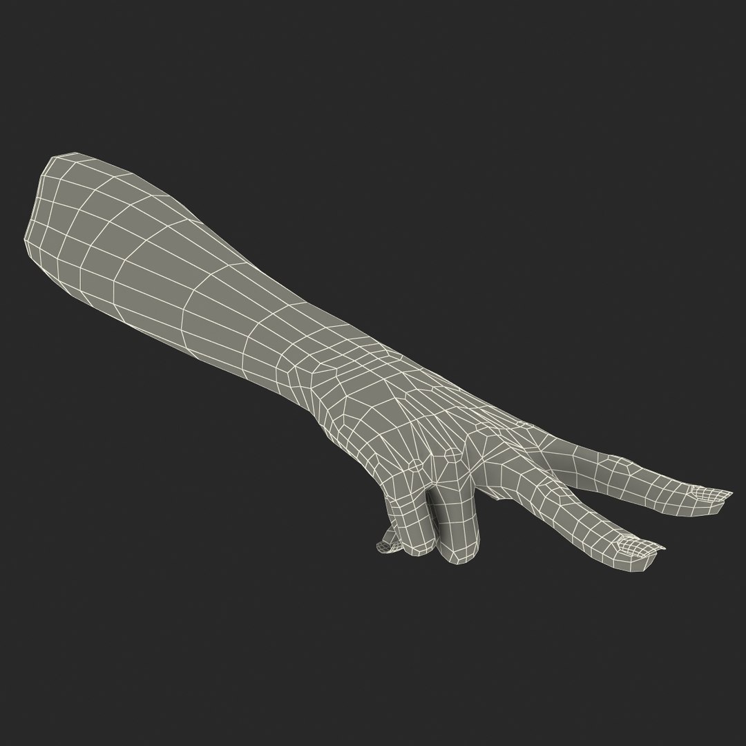 female hand african american obj https://p.turbosquid.com/ts-thumb/qv/ZIsB0U/Ug85bcvj/femalehandafricanamericanfbx3dmodel23/jpg/1469817864/1920x1080/fit_q87/e3702293a98c09326a952070c868dbefd3443a46/femalehandafricanamericanfbx3dmodel23.jpg