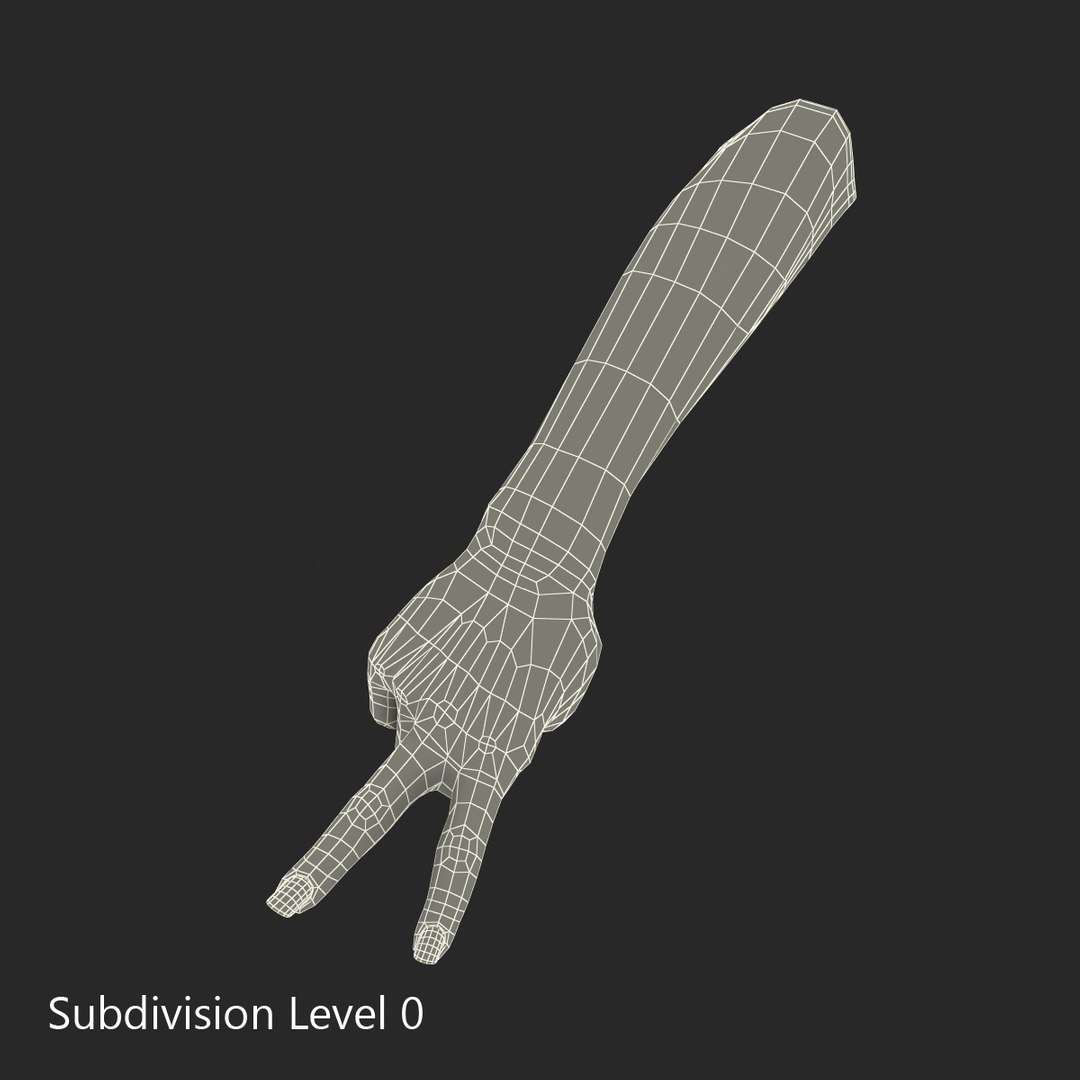 female hand african american obj https://p.turbosquid.com/ts-thumb/qv/ZIsB0U/rYHrC1ZF/femalehandafricanamericanfbx3dmodel16/jpg/1469817863/1920x1080/fit_q87/1a467ba8a868fc548b019afbb517cc90ea23031e/femalehandafricanamericanfbx3dmodel16.jpg