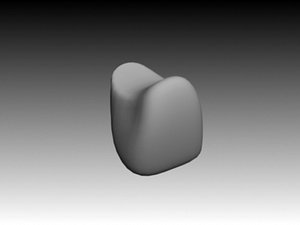3d model lateral incisiv maxilar