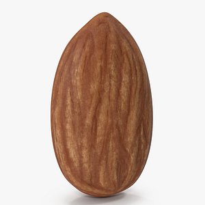 almond 3 3D model