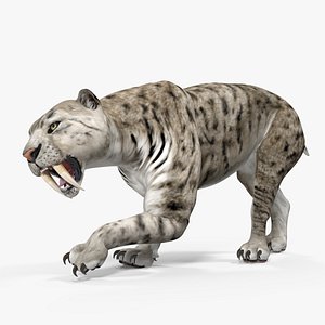 arctic saber tooth cat 3D model